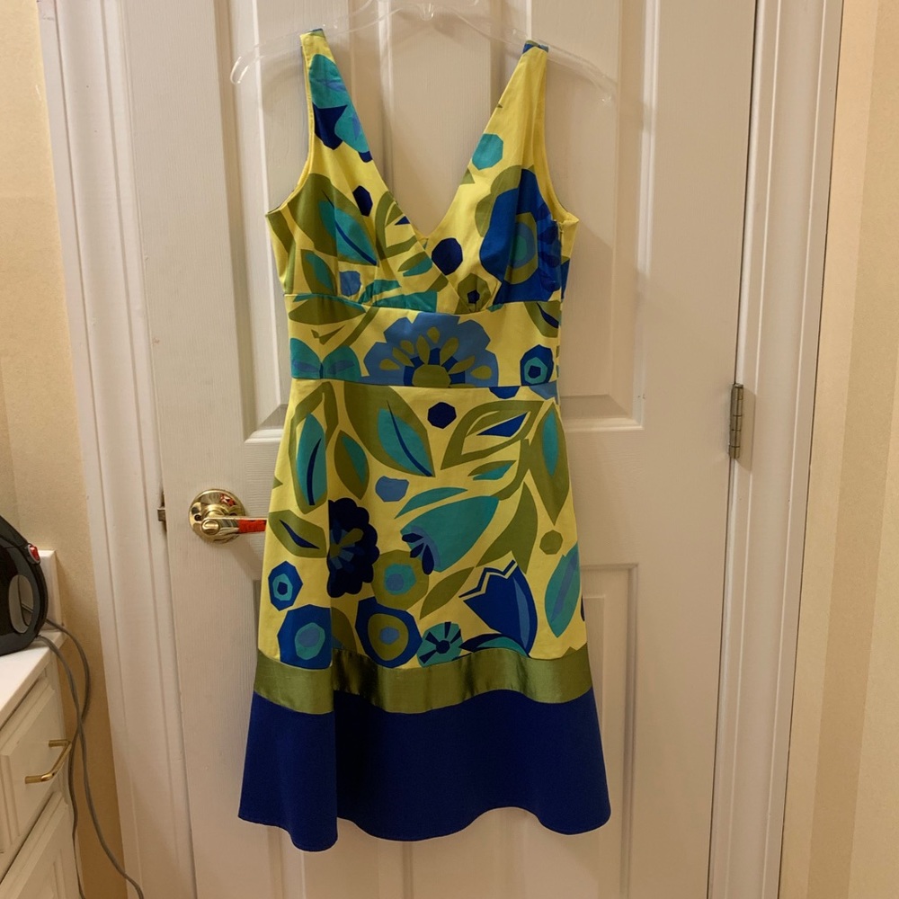 Graphic Floral Dress